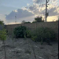 600-متر-زمین-باغی