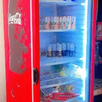 یخچال تک درب