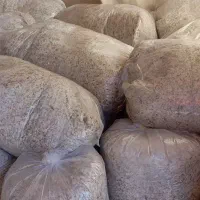 تفاله چقندر|حیوانات مزرعه|خنداب, |دیوار