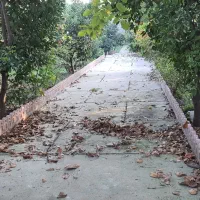 باغ صفرآباد ساری 612 متر سه بر