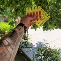 لاغری اصولی و بدون بازشگت با محصول فرانسوی