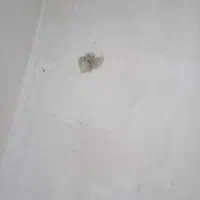 خانه