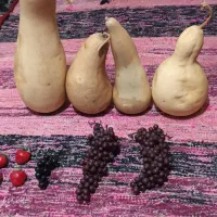 کدو خشک شده طبیعی و میوه مصنوعی|صنایع دستی و سایر لوازم تزئینی|ری, دیلمان|دیوار