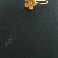 طلای گمشده