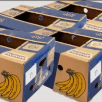کارتون موز