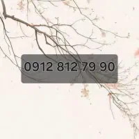فروش سیم کارت کد 8 رند بدون زنگ خور