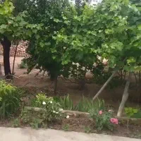 باغ ویلا 3500مترفروشی