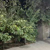 خانه ویلایی مبله|اجارهٔ کوتاه‌مدت آپارتمان و سوئیت|اقلید, |دیوار