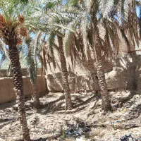 فروش زمین