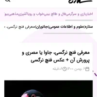 فنچ نرگسی|پرنده|شیروان (خراسان), |دیوار