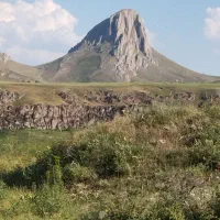 کارگر برای کار کشاورزی،باغ،پیاز