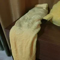 عروسک|اسباببازی|تهران, شهرک پرواز|دیوار