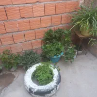 گل ساختمانی