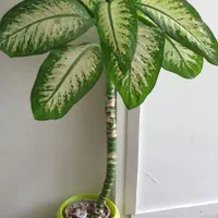 حراج اثاث خانه|حراج|اصفهان, خواجو|دیوار