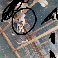 نر لک دوش،،سرور آتشی|پرنده|پیشوا, |دیوار