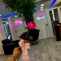 ال ای دی نئون فلکسی