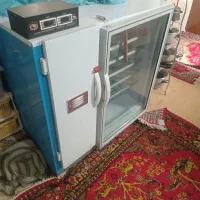 دستگاه جوجه کشی اتوماتیک ۱۰۰۸ تایی کاکل پری|حیوانات مزرعه|باشتین, |دیوار