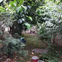 زمین / مسکونی / باغی / ۱ هکتاری / جاده جیرده