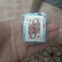 پاسور مینی ۳۰هزار تومان تخفیف دارد