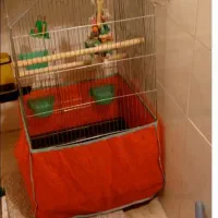 قفس پرنده بزرگ جادار ۹۰سانت در۴۵عرض خیلی نو