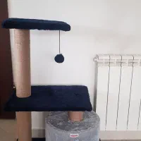 خانه درختی گربه