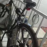 دوچرخە 26|دوچرخه، اسکیت، اسکوتر|پاوه, |دیوار