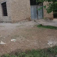 نگهبان دائمی