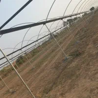 اجاره ۳۵۰۰ متری|اجارهٔ دفتر صنعتی، کشاورزی، تجاری|عنبرآباد, |دیوار