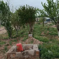 فروش-باغ