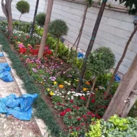 باغبانی و سمپاشی و هرستکاری در همه نقاط تهران