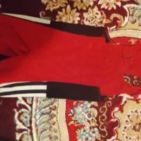 دوبنده کشتی