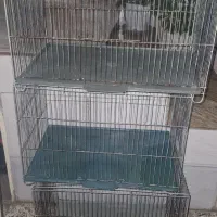 لوازم عروس خود عروس پرنده