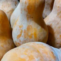 کدو حلوایی شیرین + هایپر میوه گلچین|خوردنی و آشامیدنی|شاهدشهر, |دیوار