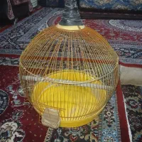 قفس گرد پرنده سالم