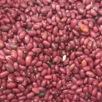 لوبیاقرمز