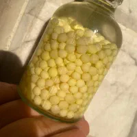 حلزون و تخم حلزون