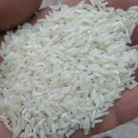 دمسیاه استخوانی بشرط پخت