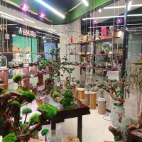 فروشنده خانوم