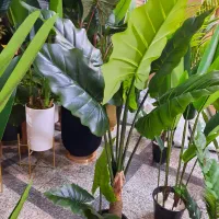 درختچه مصنوعی گل مصنوعی بوته مصنوعی هدیه کادویی|گل مصنوعی|تهران, باغ خزانه|دیوار