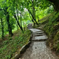 تور 6 روزه شمال گیلان زیبا