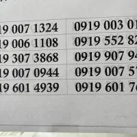 سیمکارت ۰۹۱۹ تهران