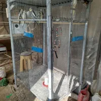 ۲ عدد قفس پرنده بزرگ