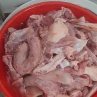 ضایعات مرغ و غذای سگ