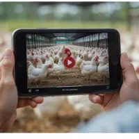 نیروی برای شرکت معتبر همراه با بیمه و مزایا عالی