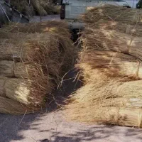 کلوش(کاه)