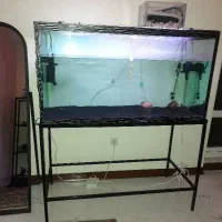 آکواریم پایه دار