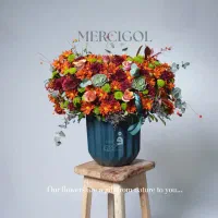 عکاس و فیلمبردار|خدمات رایانه‌ای و موبایل|تهران, پرستار|دیوار