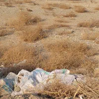 زمین اصناف شهرداری خیابان اصلی(دریاچه و سپاه نیست)|فروش زمین و ملک کلنگی|اسلام‌شهر, شهرک امام حسین (میان آباد)|دیوار