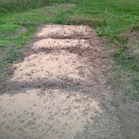 فروش چوچاغ یا بلوش برای زیتون وغیره