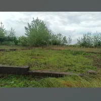 زمین ویلایی در لنگرود